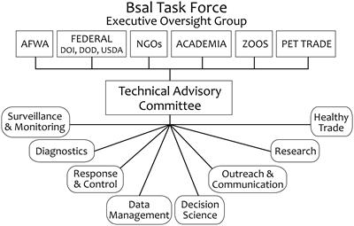 Preparing for a Bsal invasion into North America has improved multi-sector readiness